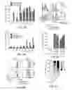 Fig. 06 - Chimeric antigen receptors targeting HER2