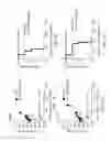 Fig. 08 - Chimeric antigen receptors targeting HER2