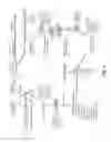 Fig. 07 - Codon-optimized lentiviral vector for stem cell reprogramming