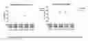 Fig. 01 - Novel Vaccines Against Multiple Subtypes Of Dengue Virus