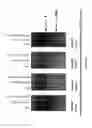 Fig. 06 - Novel Vaccines Against Multiple Subtypes Of Dengue Virus