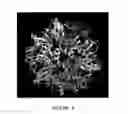 Fig. 04 - NSP10 self-assembling fusion proteins for vaccines, therapeutics, diagnostics and other nanomaterial applications
