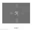 Fig. 09 - NSP10 self-assembling fusion proteins for vaccines, therapeutics, diagnostics and other nanomaterial applications