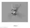 Fig. 10 - NSP10 self-assembling fusion proteins for vaccines, therapeutics, diagnostics and other nanomaterial applications