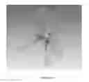 Fig. 12 - NSP10 self-assembling fusion proteins for vaccines, therapeutics, diagnostics and other nanomaterial applications