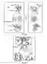 Fig. 21 - Epitope of optimized humanized monoclonal antibodies against activated protein C and uses thereof