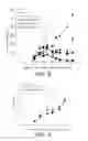 Fig. 07 - Combination therapy using T cell redirection antigen binding molecule against cell having immunosuppressing function