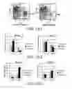 Fig. 08 - Combination therapy using T cell redirection antigen binding molecule against cell having immunosuppressing function