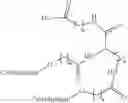 Fig. 166 - CARBOHYDRATE CONJUGATES AS DELIVERY AGENTS FOR OLIGONUCLEOTIDES