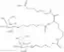 Fig. 167 - CARBOHYDRATE CONJUGATES AS DELIVERY AGENTS FOR OLIGONUCLEOTIDES