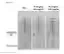 Fig. 03 - Sustained-release preparation of poorly soluble drug