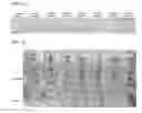 Fig. 04 - Sustained-release preparation of poorly soluble drug