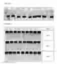 Fig. 05 - Sustained-release preparation of poorly soluble drug