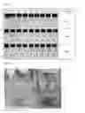 Fig. 06 - Sustained-release preparation of poorly soluble drug