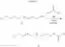 Fig. 32 - Fatty acids and their use in conjugation to biomolecules