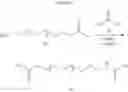 Fig. 34 - Fatty acids and their use in conjugation to biomolecules