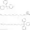 Fig. 47 - Fatty acids and their use in conjugation to biomolecules