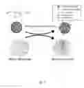 Fig. 05 - POLYMER-BASED THERAPEUTICS FOR INDUCTIVE BROWNING OF FAT