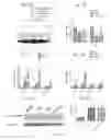 Fig. 08 - POLYMER-BASED THERAPEUTICS FOR INDUCTIVE BROWNING OF FAT