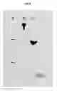 Fig. 03 - PROTEIN COMPLEX USING AN IMMUNOGLOBULIN FRAGMENT AND METHOD FOR THE PREPARATION THEREOF