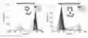 Fig. 01 - N-terminal epitopes in amyloid beta and conformationally-selective antibodies thereto