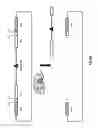 Fig. 07 - Recombinogenic nucleic acid strands in situ