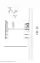 Fig. 02 - COMPOUND AND PHARMACEUTICAL COMPOSITION FOR TARGETED DRUG DELIVERY