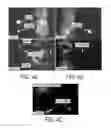 Fig. 06 - Multimodal silica-based nanoparticles