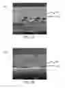 Fig. 03 - Fibrinogen-based tissue adhesive patches