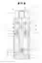 Fig. 05 - Manually actuatable inhaler