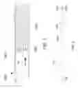 Fig. 09 - Flexible catheter