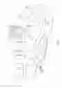 Fig. 02 - Reversibly installable modular fitness area