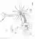 Fig. 09 - Exercise bike