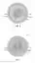 Fig. 03 - Golf balls having multi-layered covers made from plasticized compositions containing non-acid polymers