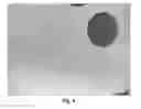 Fig. 03 - A POLYVINYL ALCOHOL POROUS SUPPORT AND METHOD