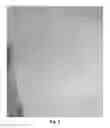 Fig. 04 - A POLYVINYL ALCOHOL POROUS SUPPORT AND METHOD