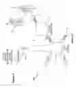 Fig. 02 - Emissions control system including capability to clean and/or rejuvenate carbon-based sorbents and method of use