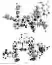 Fig. 08 - Zeolitic imidazolate frameworks