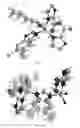 Fig. 09 - Zeolitic imidazolate frameworks