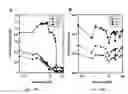 Fig. 48 - Zeolitic imidazolate frameworks
