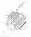 Fig. 01 - Applicator with diverter plate