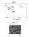 Fig. 04 - Method of producing sintered and forged member
