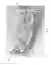 Fig. 10 - Methods and systems for electroadhesion-based manipulation in manufacturing