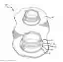 Fig. 01 - Polyurethane bonding process for fuel bladders