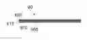Fig. 01 - METHOD AND DEVICE FOR MOULDING A COMPOSITE COMPONENT, COMPOSITE COMPONENT AND CRAFT