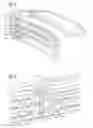 Fig. 06 - Modular light and accessory bar for vehicles