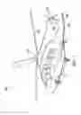 Fig. 02 - Aircraft horizontal stabilizer design