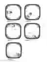 Fig. 07 - Tamper evident container having bonded tab