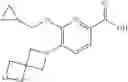 Fig. 30 - NOVEL PYRIDINE DERIVATIVES
