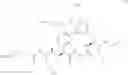 Fig. 102 - MACROCYCLIC BROAD SPECTRUM ANTIBIOTICS